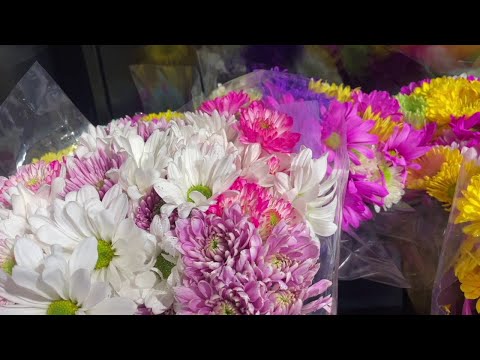 Mother’s Day Flowers & Pets