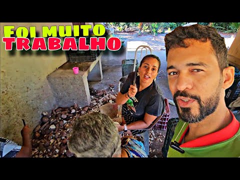 MUITO TRABALHO E MUITA FRUTA NO SÍTIO, ITAITINGA ALCOBAÇA-BA