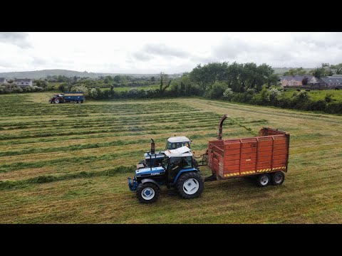 THE BEST SILAGE VIDEO YOU WILL EVER SEE!!!!! CLASSICS AT GRASS