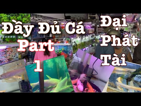 PHÁT HIỆN THIÊN ĐƯỜNG CÁ CẢNH TẠI SÀI GÒN PART 1