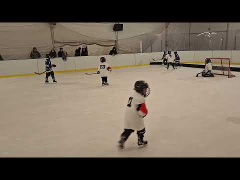 Táti Tigrisek vs. Megyeri Pingvinek U8