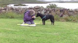 Steve Mann&#39;s &#39;Rucksack Walking&#39; -  Fionnphort style