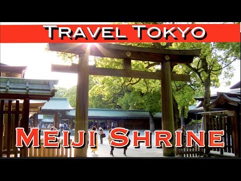 , title : 'Meiji Shrine to Shibuya Crossing - A PERFECT Tokyo Day!'