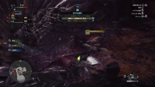 [MHW]今さらだけど始めからプレイ！　狩猟8日目