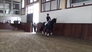 Video von Dark Heaven