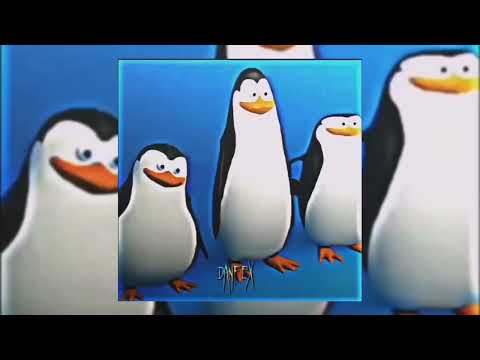 DIKA VIKA X Los pingüinos me la van a mascar (edited)