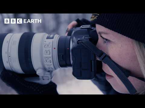 Exploring Nature Through the Lens of Wildlife Photographers | BBC Earth Explore