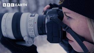 Exploring Nature Through the Lens of Wildlife Photographers | The Travel Edit