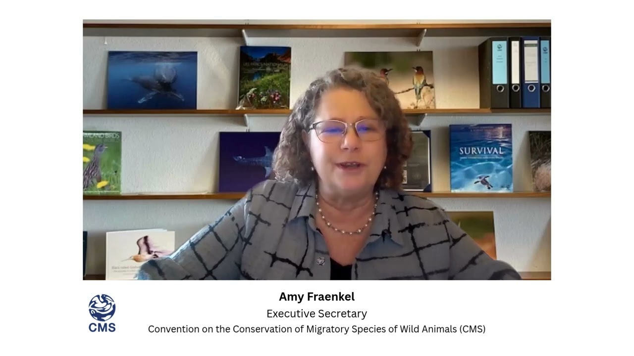 Message from Ms. Amy Fraenkel, Executive Secretary of CMS at the opening of AEWA MOP9