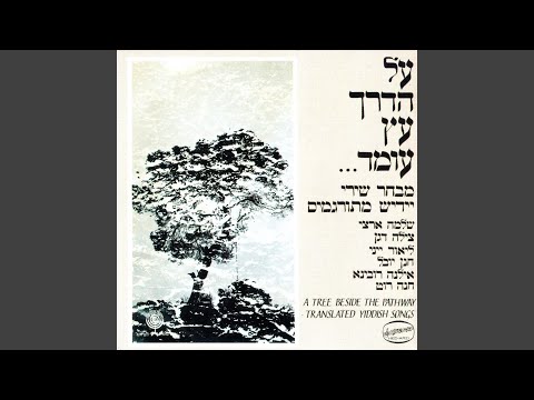 Video thumbnail for Bo El Hachupa - בוא אל החופה