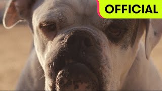 HYUKOH(혁오) - Leather Jacket Teaser(가죽자켓 티저)