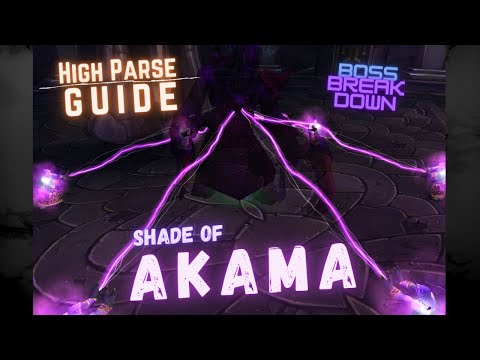 How to get a high DPS parse on Shade of Akama Black Temple WoW TBC Classic Raid Beast Mastery Hunter