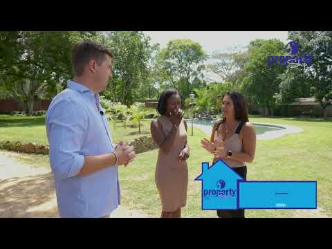 Must-see recently renovated contemporary home