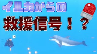 突然近づいてきたイルカ！なにかを察し、ついていってみると…的なゲーム実況part6【DEVE THE DIVER】【デイブ・ザ・ダイバー】