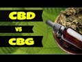 The Differences Between Cannabidiol CBD And Cannabigerol CBG