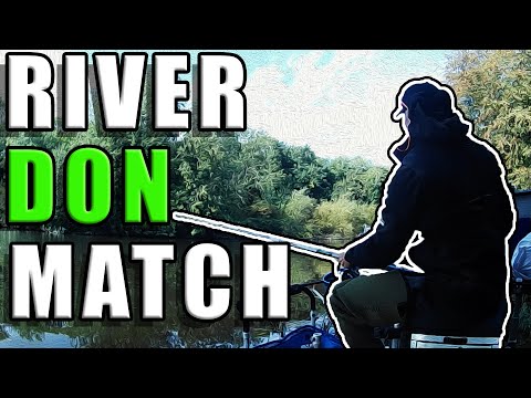 Match Fishing on the River Don at Sprotborough Sept 2020