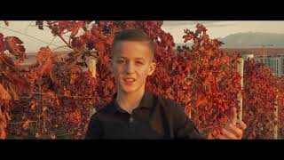 Olti Limanmera - Gajle