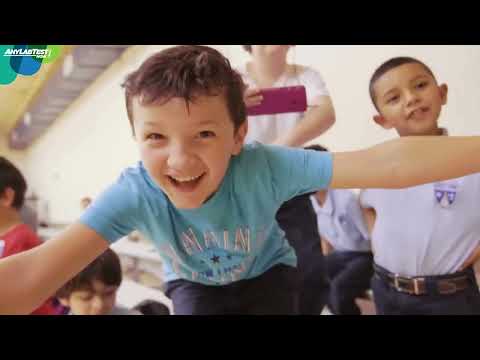 Any Lab Test Now - West Chester