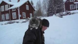 preview picture of video 'Gunnar och katten Vira skottar snö'