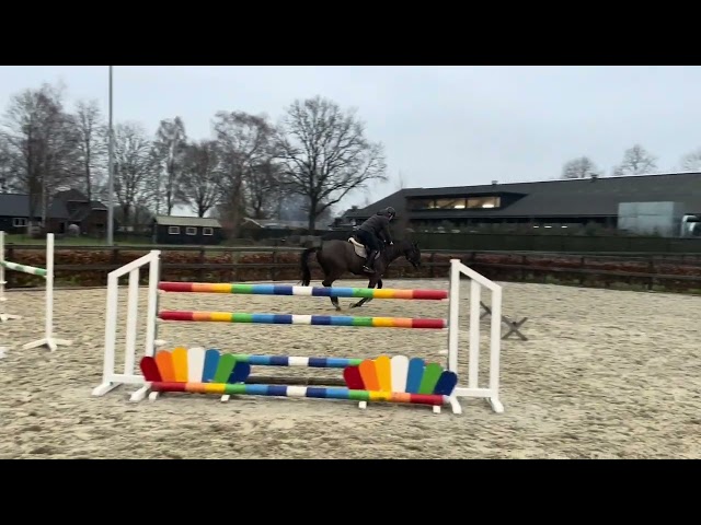 Santos D&J @ Trainingshow