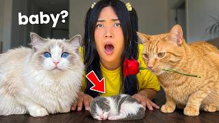 My Cats Fell in Love! Now They Want A Baby?! MQDEFAULT Thumbnail
