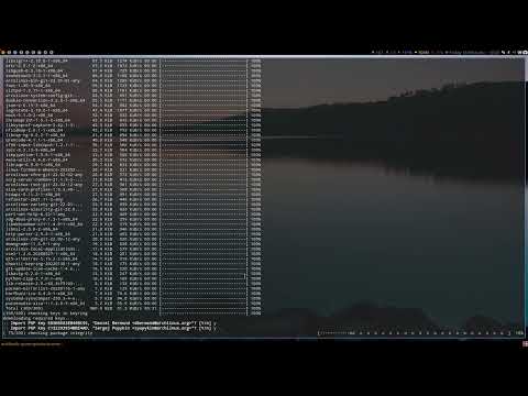 ArcoLinux : 2641 Update video - keyfix and archlinux-keyring