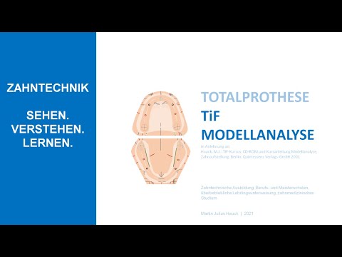 TiF Modellanalyse - Alle Schritte