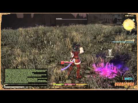 Final Fantasy XIV  A Realm Reborn - Marauder Lv15 Quest - Brutal Strength