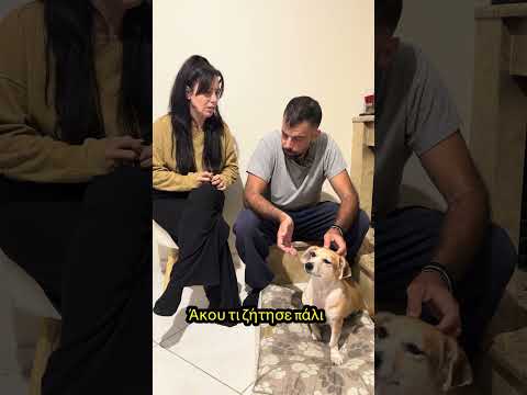 Μόνο αυτό δε περίμενα να ακούσω από τη γυναίκα μ #foryou #trend #greece #funny #comedy #patra #fyp