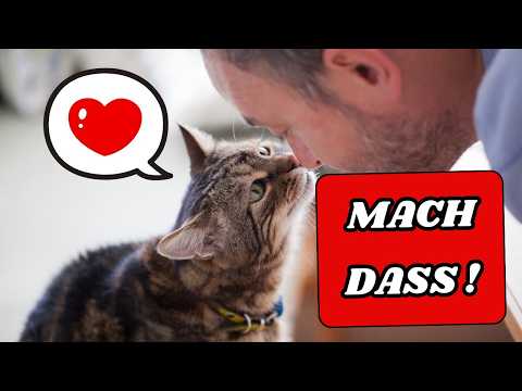 10 Wege, deiner Katze Liebe zu zeigen – so dass sie es wirklich versteht!