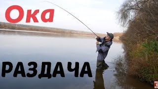 Рыбалка в подмосковье.на оке