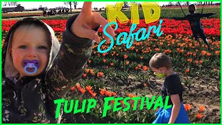 Tulip Festival  Kid Safari #tulipfestival #amsterdam #tulip #festival gameplay video by alucas, 4:10 duration