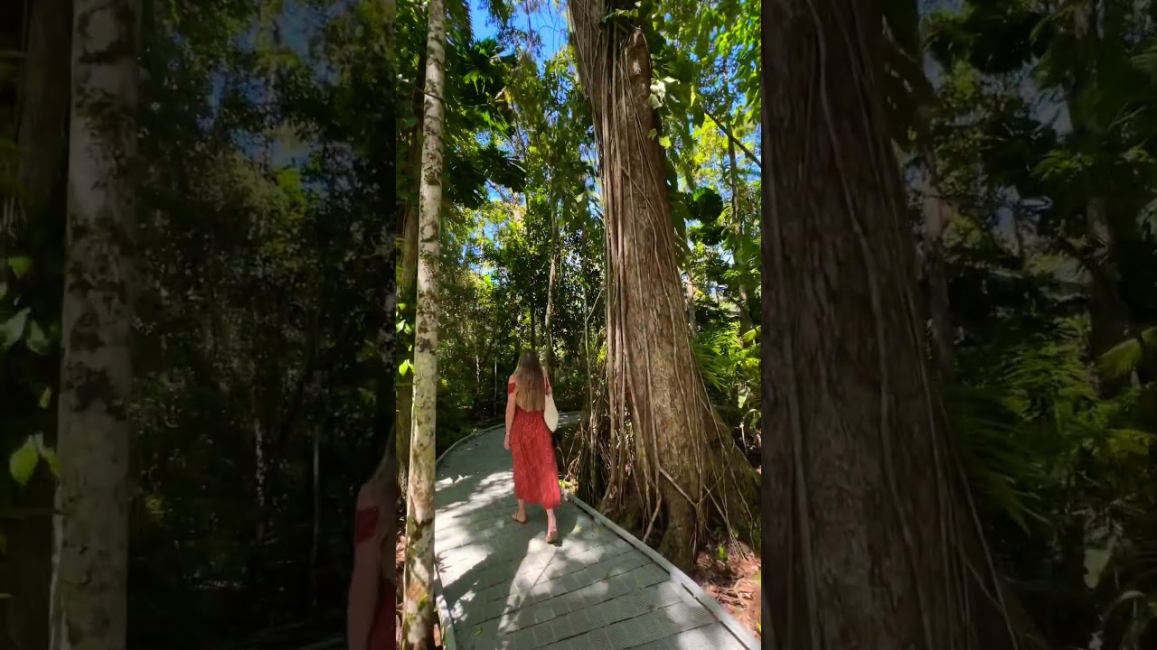 YouTube Short thumbnail