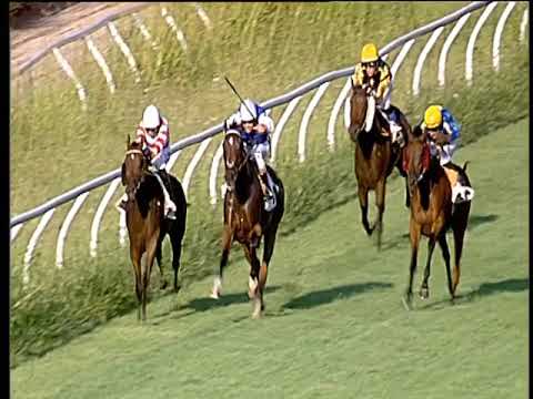 Galoppo 21/08/2019 - 2ª corsa