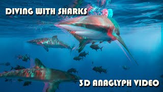 7) DIVING WITH SHARKS - 3D red/cyan HD anaglyph vi