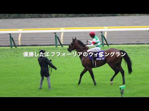 2021.10.31　天皇賞（秋）ファンファーレとウィニングラン