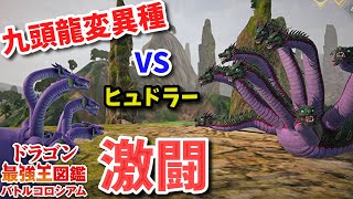 【ドラゴン最強王図鑑】九頭龍変異種で究極魔力大会、一回戦から激闘