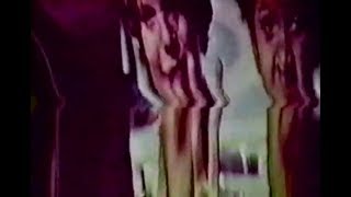 orchid mantis - rifts