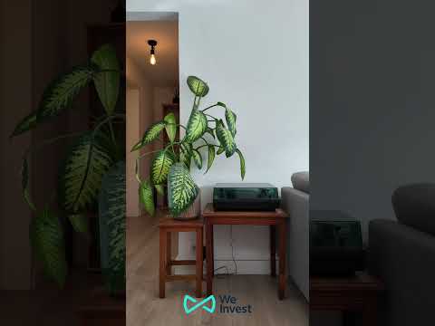 Vidéo