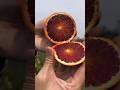 Ruby Orange Juice So Fresh