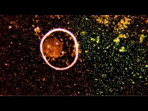 Redscale - False Light (Official Video)