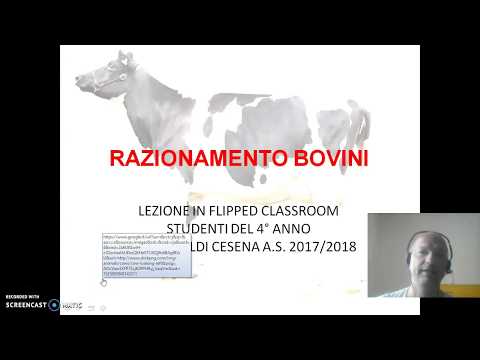 Un elenco dei farmaci per il trattamento delle articolazioni Metodo di trattamento con onde shock spinale