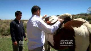 preview picture of video 'CÓRDOBA Cabalgata en las Altas Cumbres'