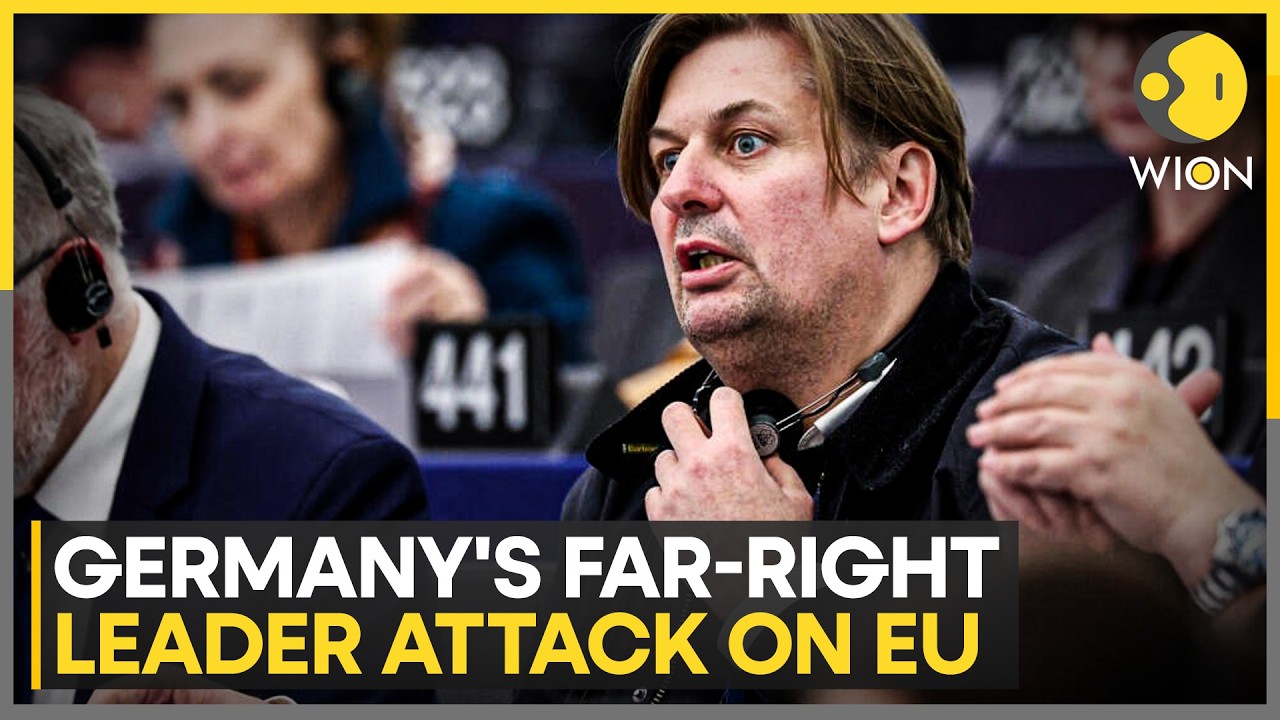 AfD's Maxmilian Krah Predicts The EU Could Collapse Within 5-10 Years | WION
