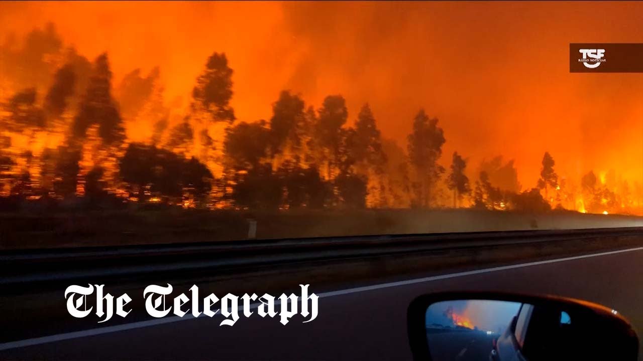 Villagers join firefighters to save homes in blazing Portugal wildfires - Vimarsana News