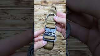 BullyBillows 4cm Combat Collar