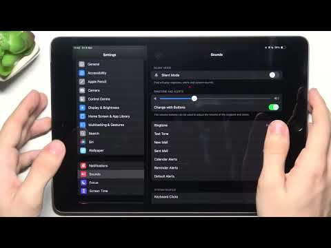 APPLE iPad 10.2 (2021) Wi-Fi + Cellular - Adjust Ringtone Volume | Control Call and Notification