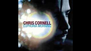 Chris Cornell - Steel Rain