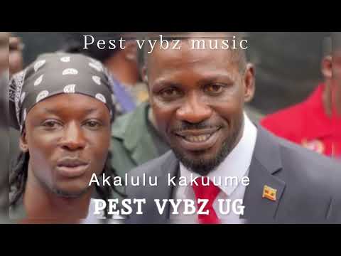 Akalulu Kakuume by Pest vybz ug (NUP H.E Robert kyagulanyi Sentamu)