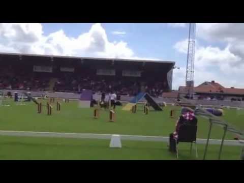 Lilla Vieux o Kjell SM 2013